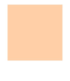 Rollo E-Colour 162 Bastard...