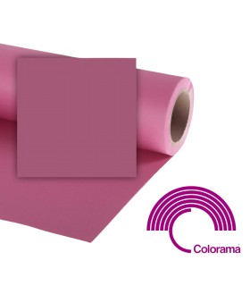 Colorama Fondo 44 Damson...