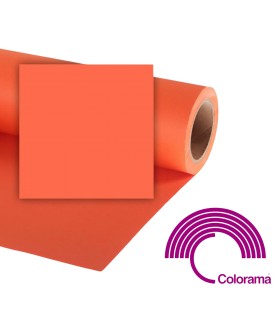 Colorama Fondo 47 Pumpkin...