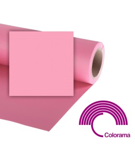 Colorama Fondo 21 Carnation...