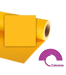 Colorama Fondo 70 Buttercup...