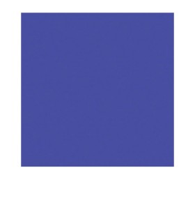 Hoja Filtro E-Colour E381...