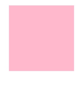 Rollo E-Colour 039 Pink...